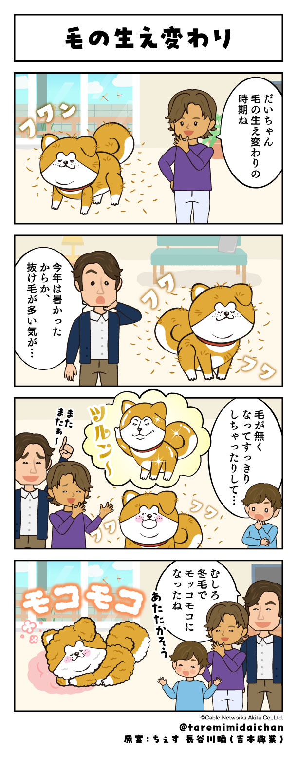 毛の生え変わり