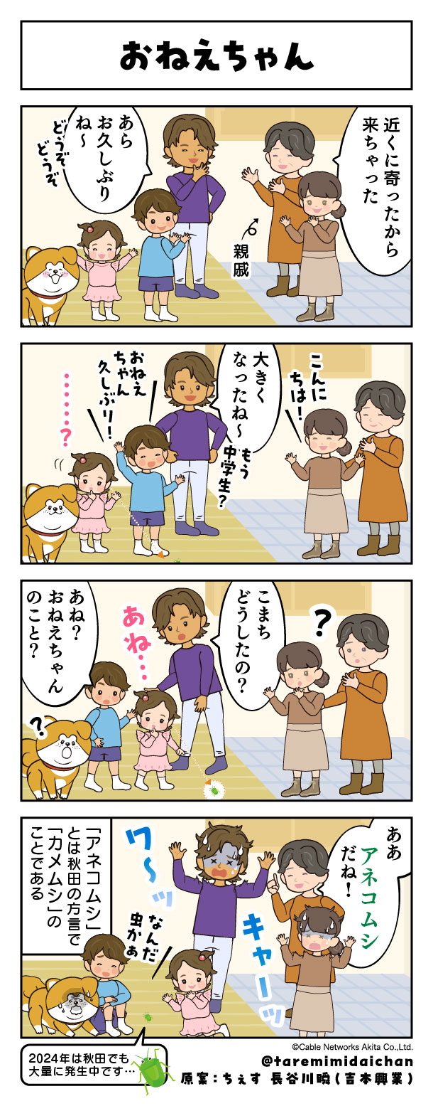 おねえちゃん