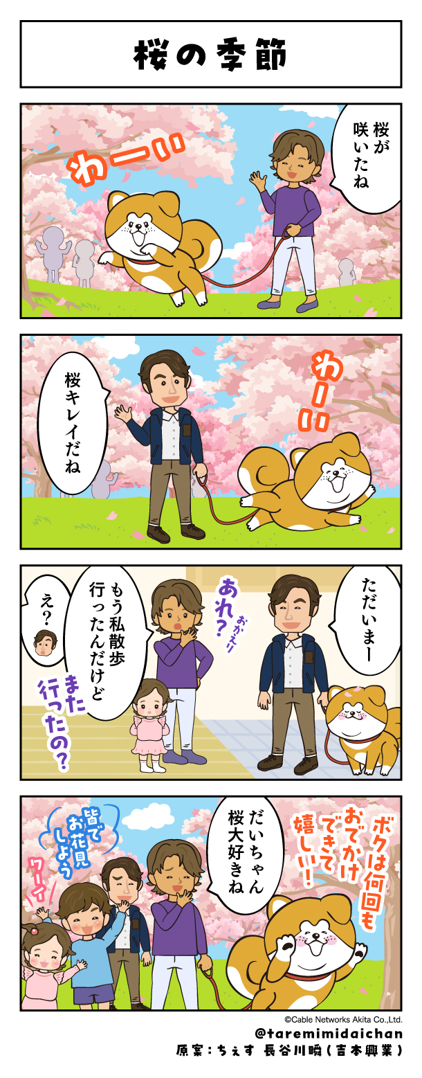 桜の季節