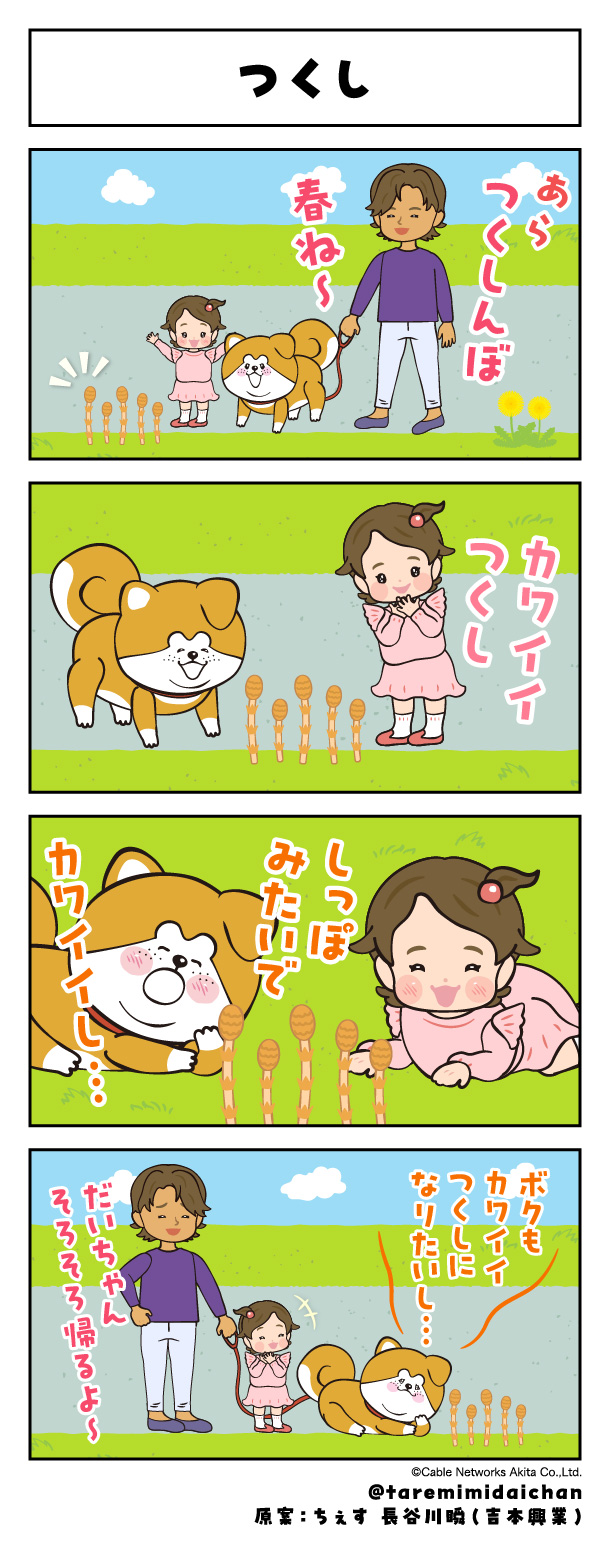 つくし