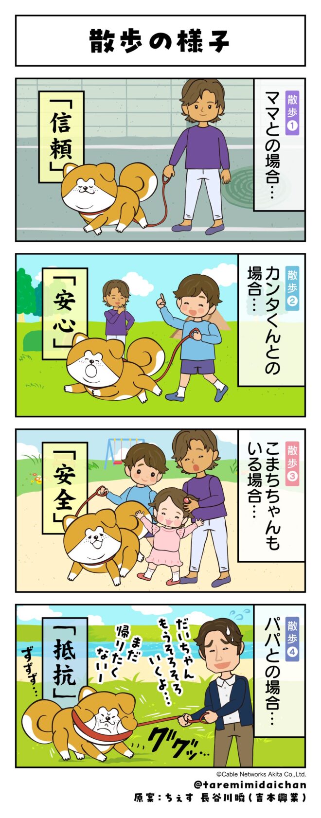 散歩の様子