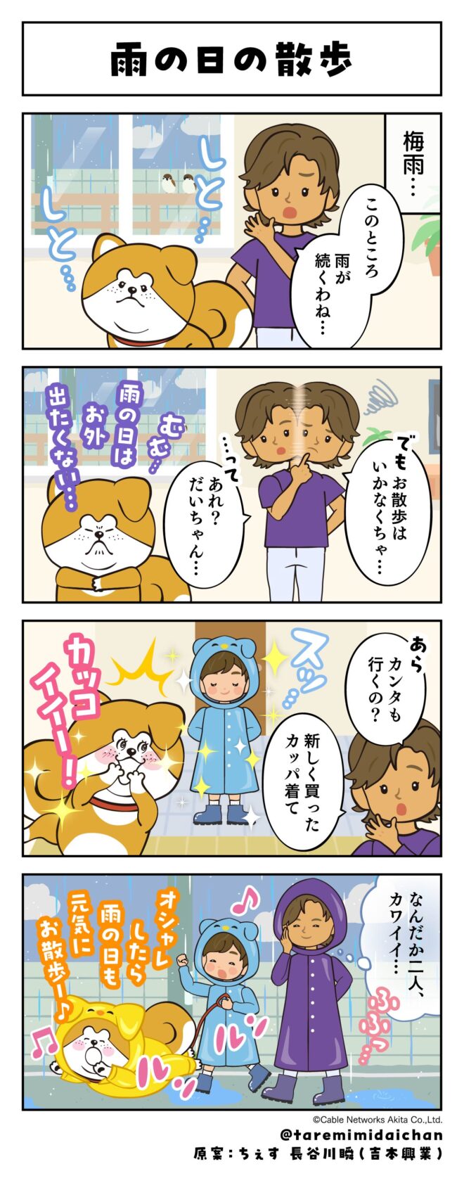 雨の日の散歩