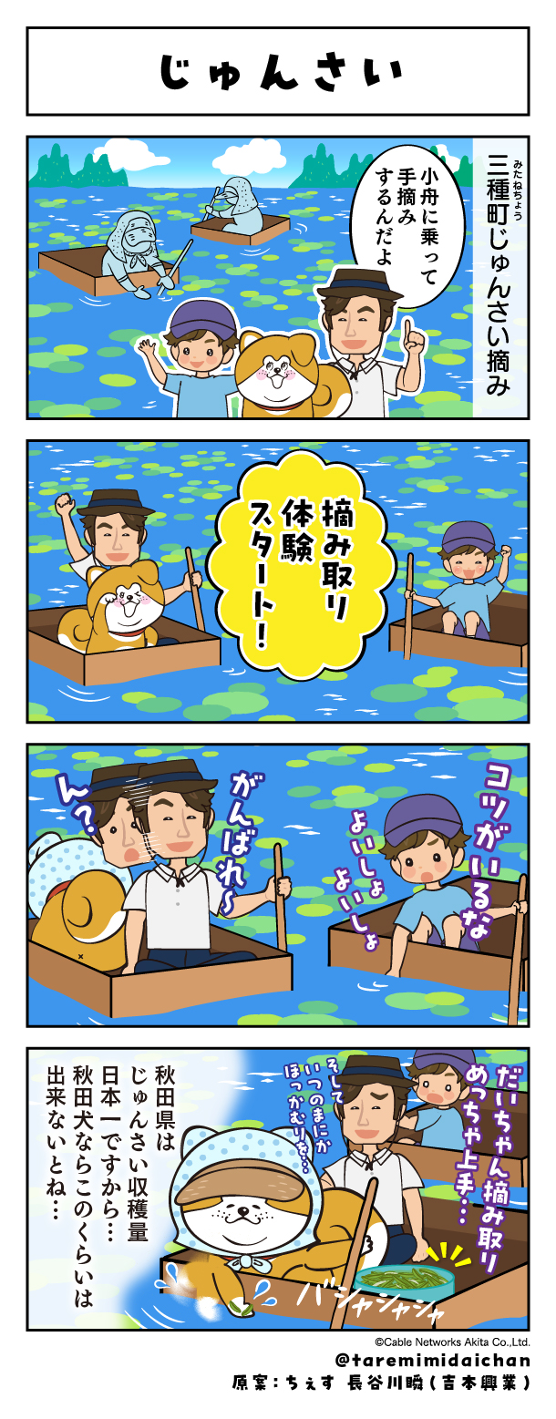 じゅんさい